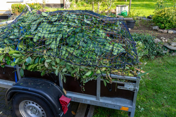 Best Scrap Metal Removal  in Ashland, OH